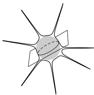 Random section of convex set
